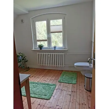 Holiday home Haus Waldliebe Modern Retreat Huttenrode